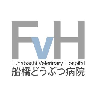 funabashi.v.h